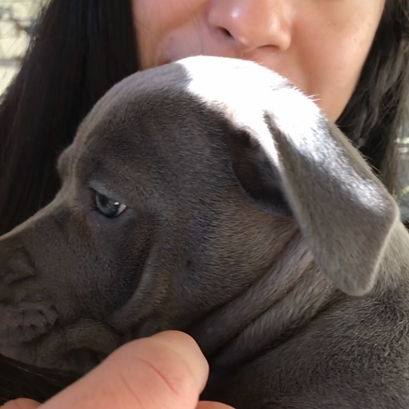 Meet your Posher, Emily - Picture 2 of 2